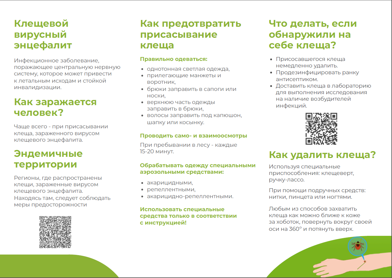 Анонс «горячей линии» по профилактике клещевого энцефалита.